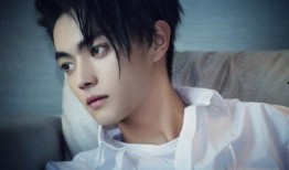 录音爆料许凯视频下载安装,揭秘明星隐私泄露事件